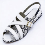 CL-SA-284